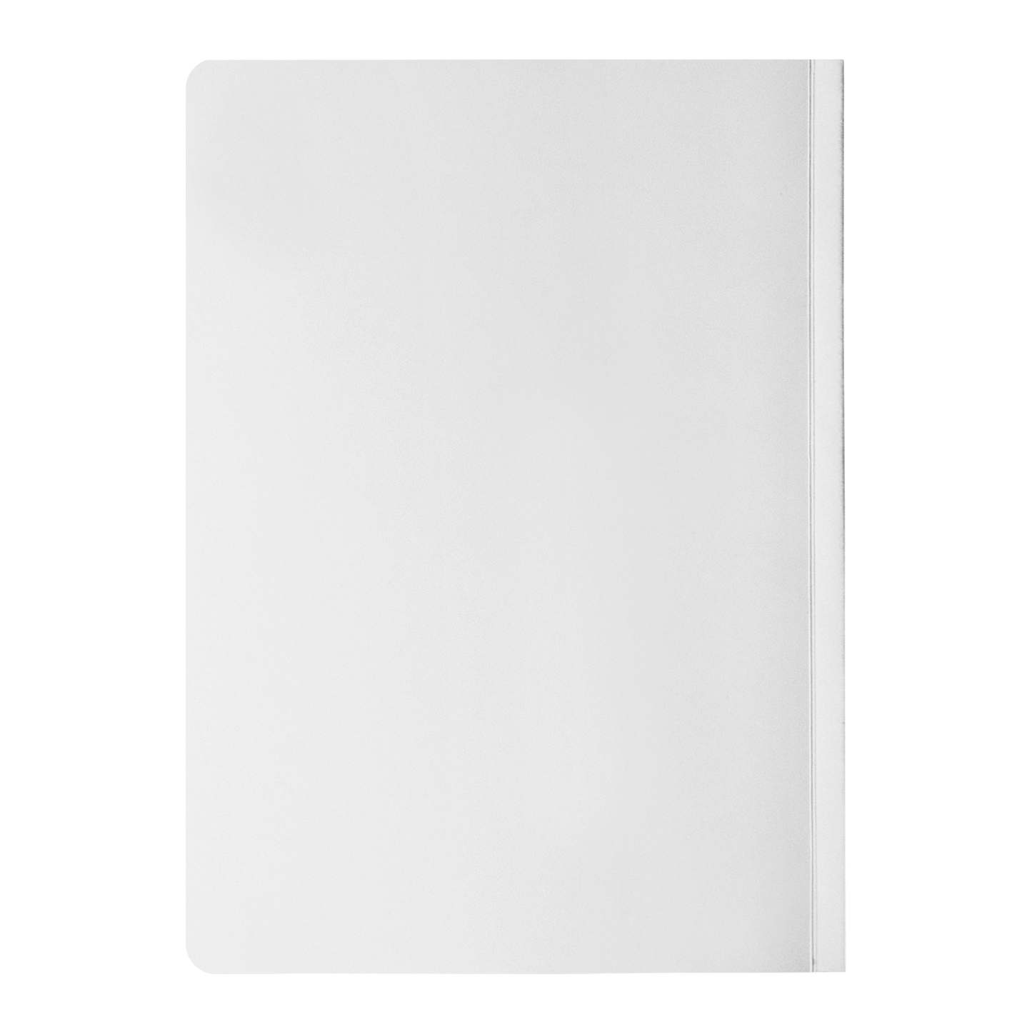 Never Underestimate the Power of a Determined Witch Journal Notebook