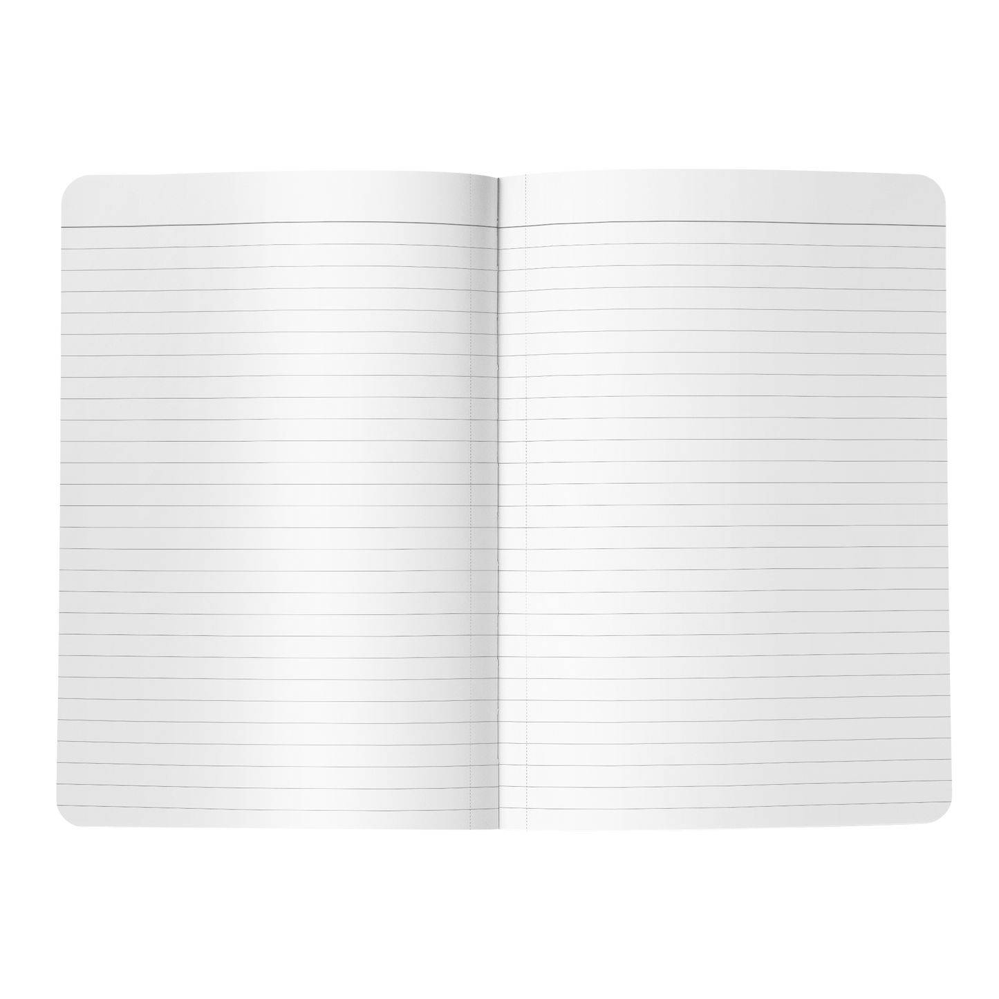 Never Underestimate the Power of a Determined Witch Journal Notebook